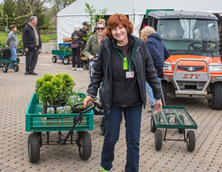 A volunteer pulling a wagon of plants at the Arbor Day plant sale.