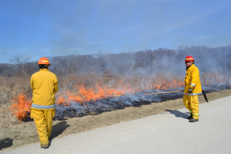 The Morton Arboretum