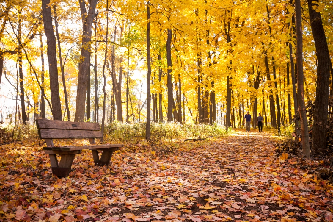 The Morton Arboretum