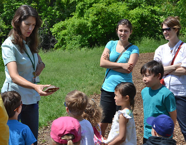 The Morton Arboretum