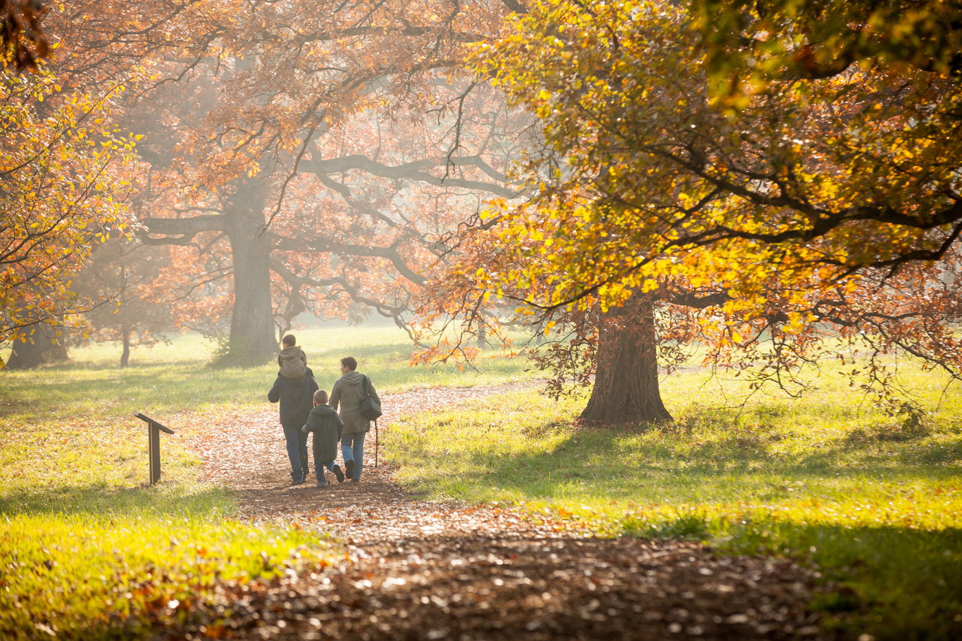 Family hikes through the Oak Collection in Fall