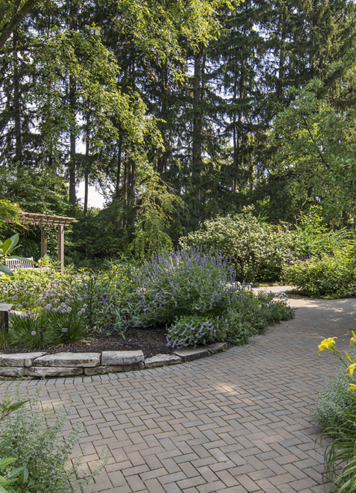 Fragrance Garden in Summer