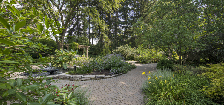 Fragrance Garden in Summer