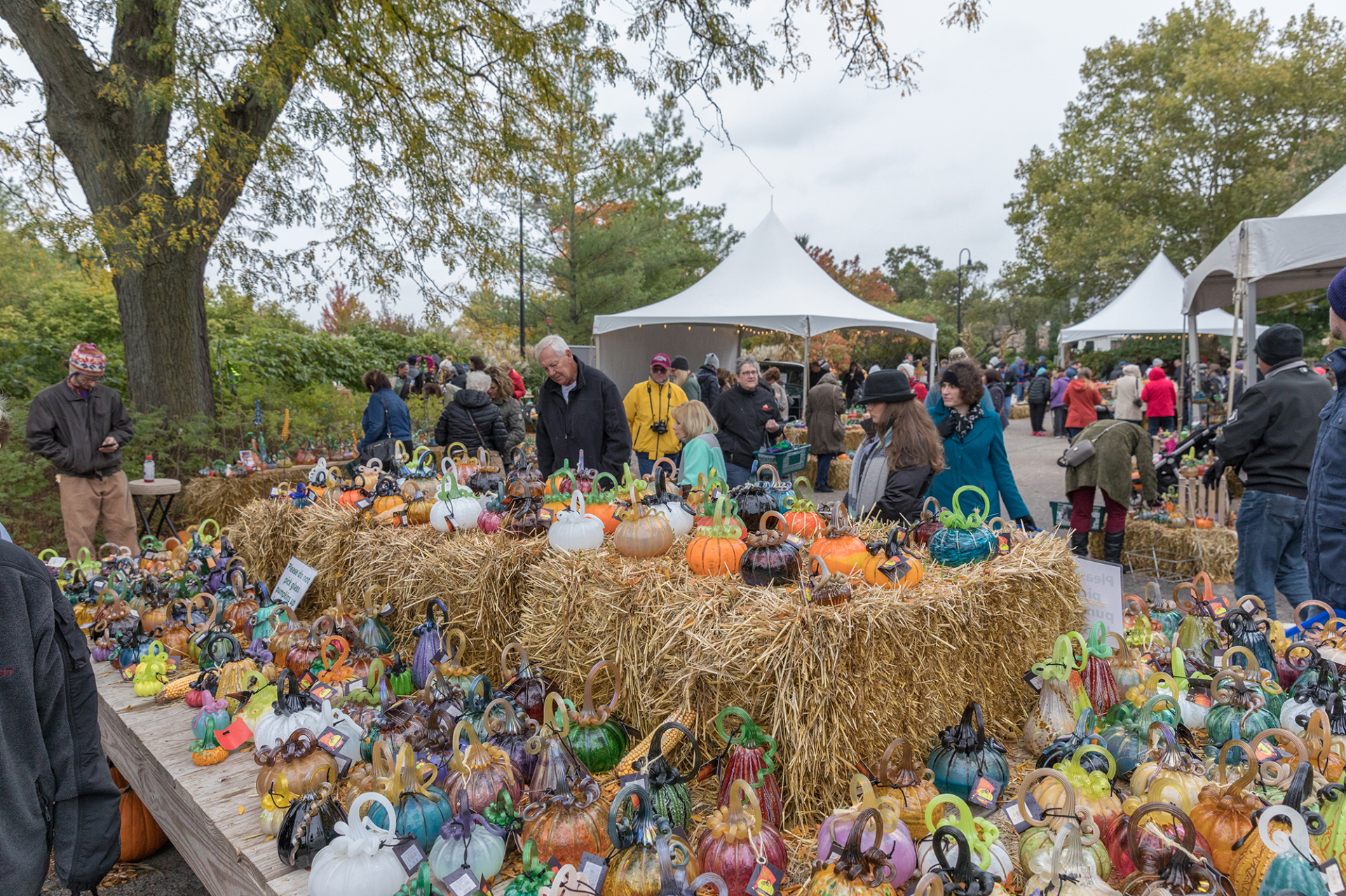 Glass Pumpkin Patch | The Morton Arboretum