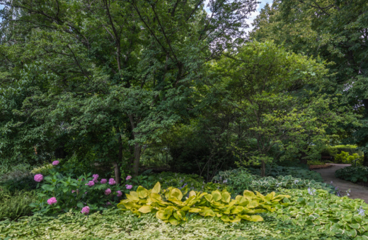 The Morton Arboretum
