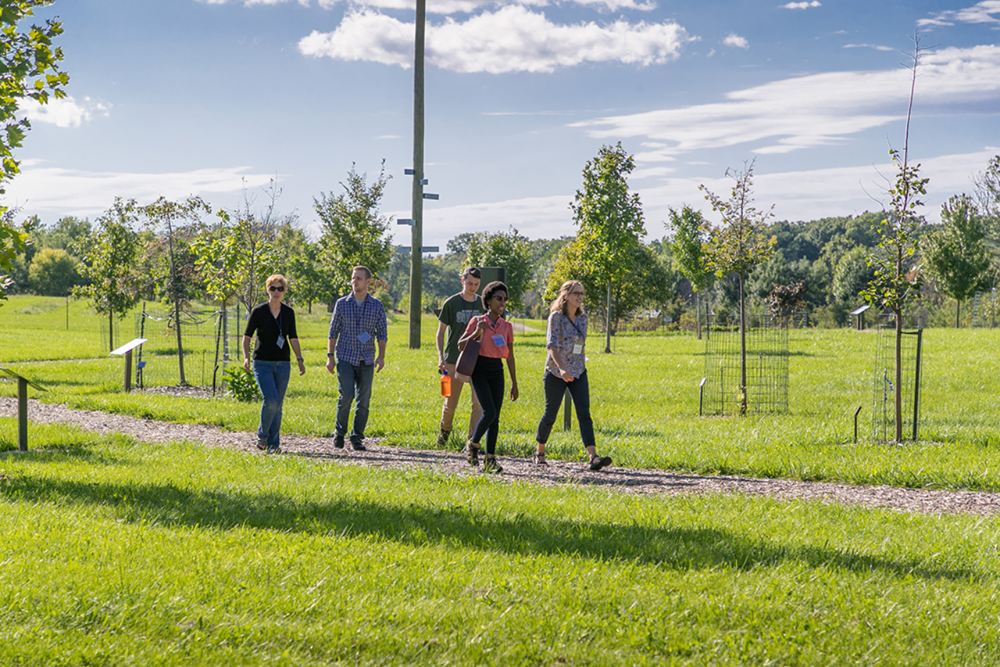 Group walks through the Gateway to Tree Science in Summer