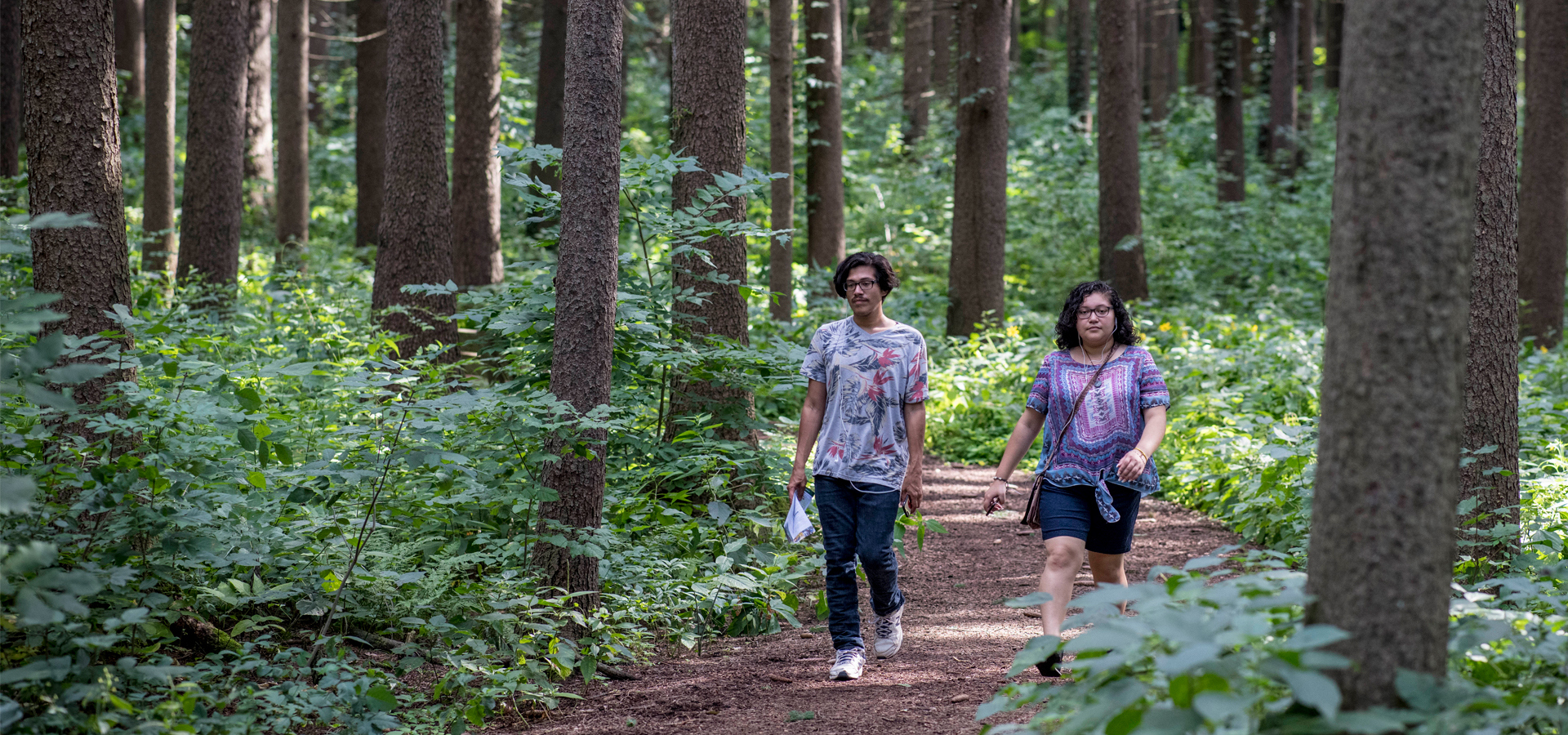 Couple hiking through the spruce plot in summer
