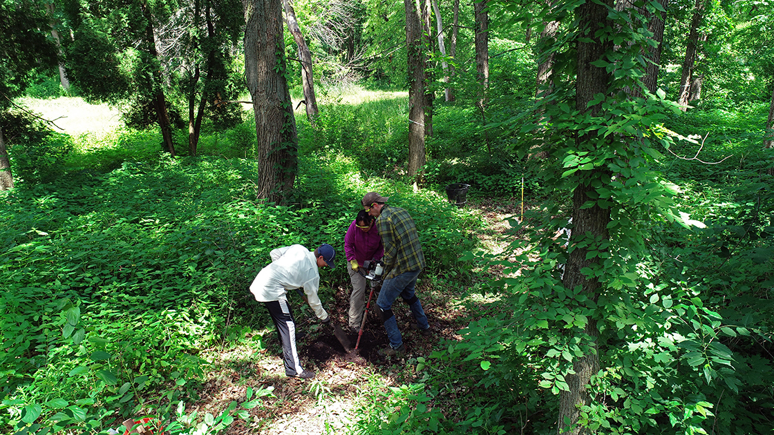 Researchers in the woods digging a hole for an underground camera