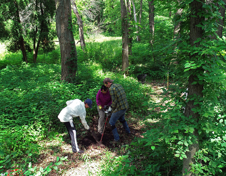 Researchers in the woods digging a hole for an underground camera
