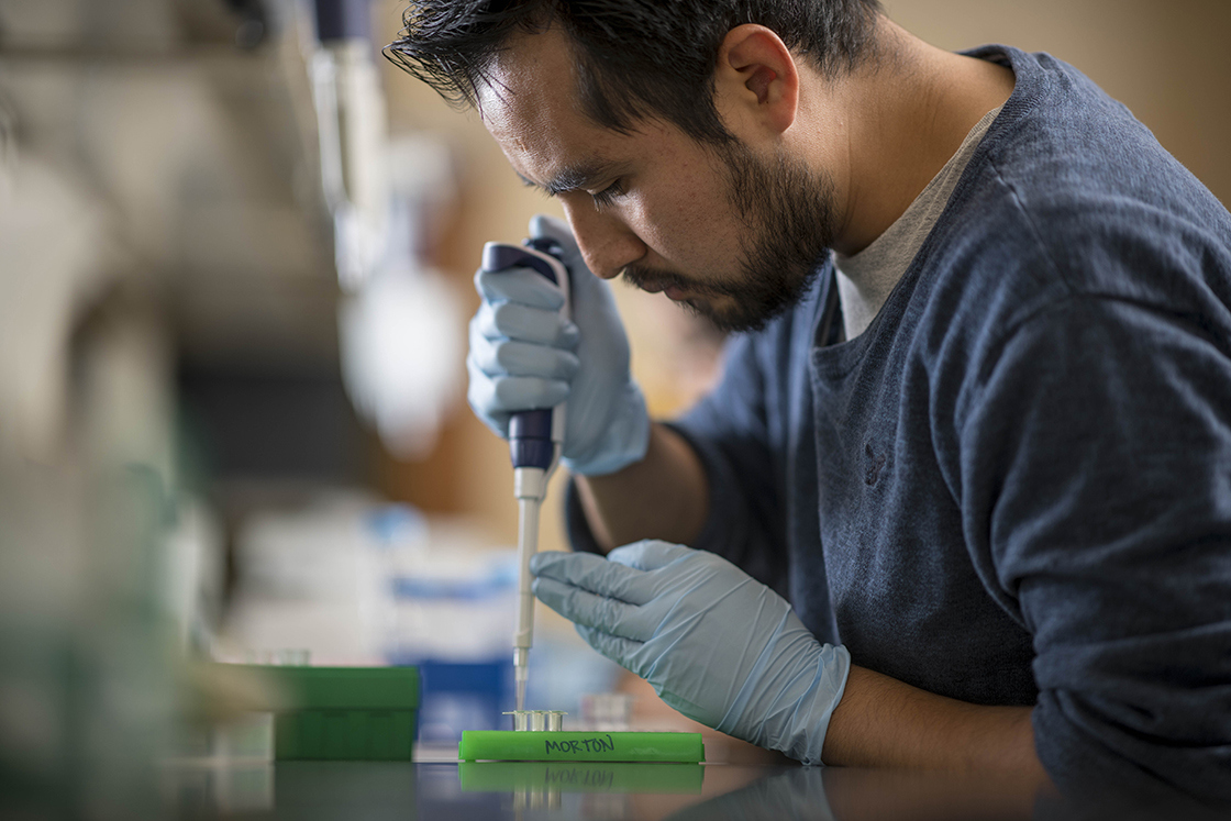 The Morton Arboretum