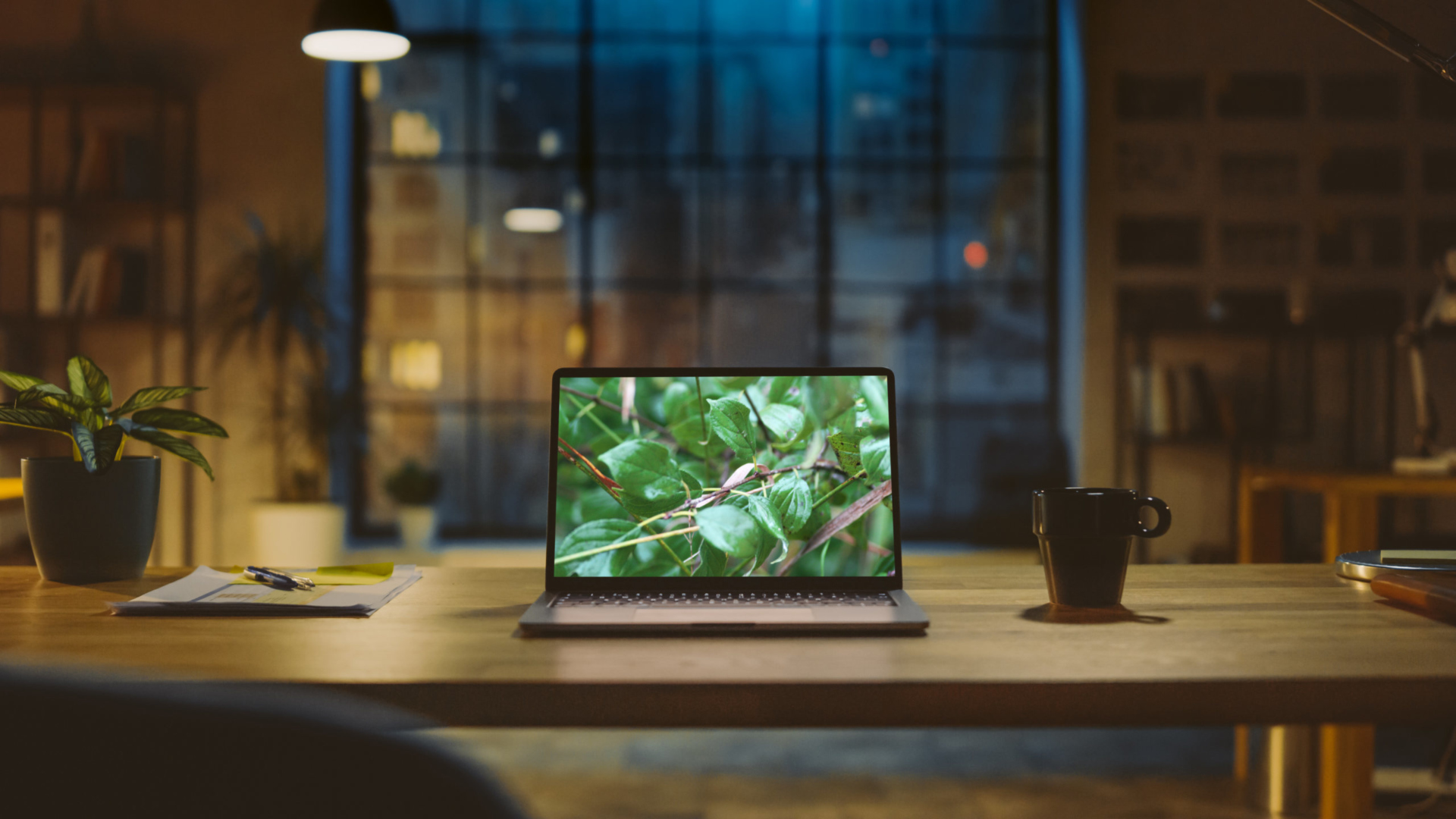 Photograph of a desk and laptop screen displaying digital content from the Invasive Species class featuring a photo of invasive buckthorn leaves