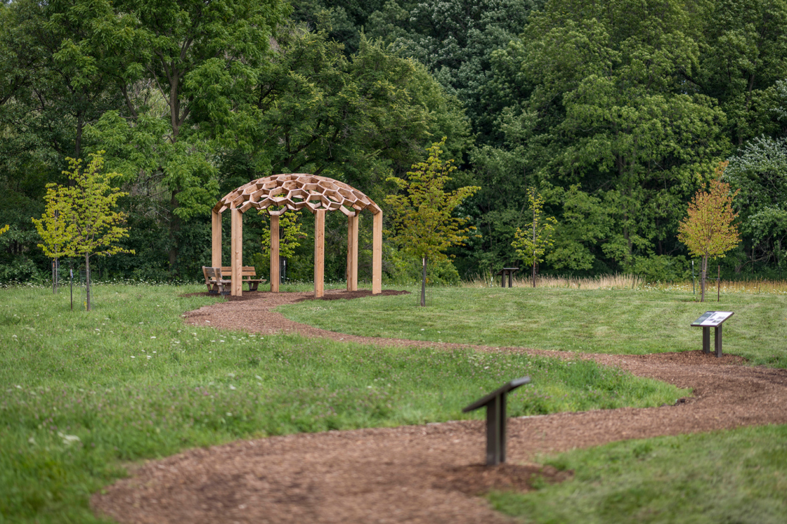 The Morton Arboretum