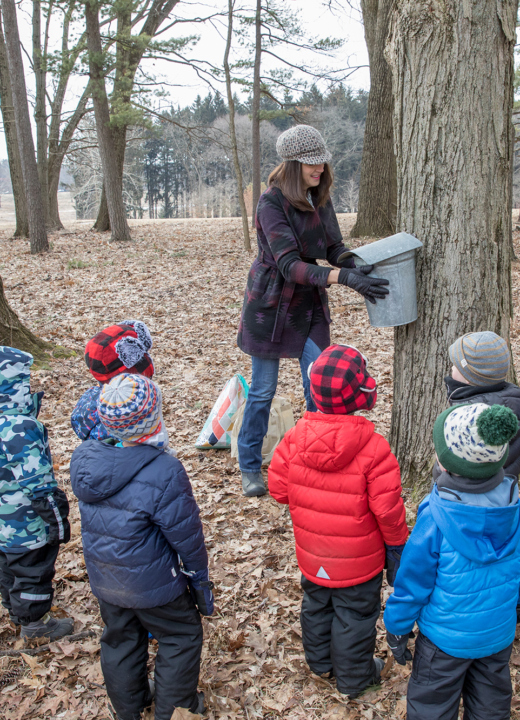 The Morton Arboretum