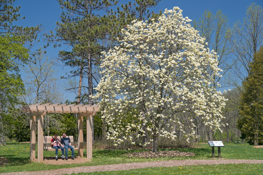 The Morton Arboretum