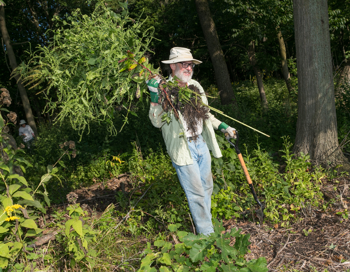 Natural Area Conservation group working in a wooded area