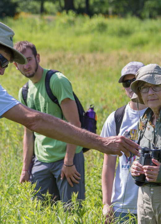 Class looking at plants of the wetlands