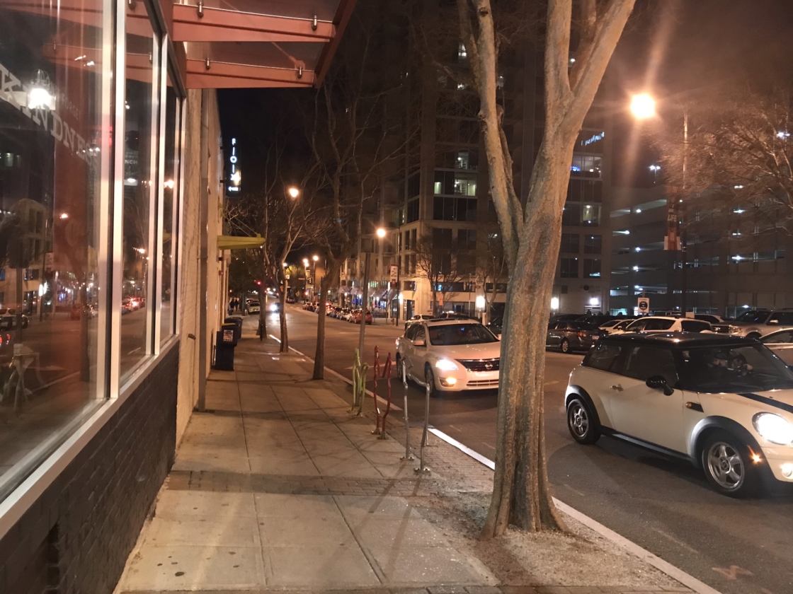 Elm trees lining Raleigh street at night