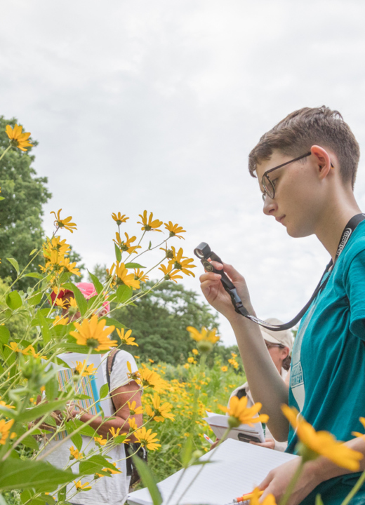 Students examine plants in the prairie with magnifying glasses during Plant ID class