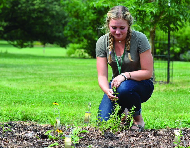 Opportunities In Science | The Morton Arboretum