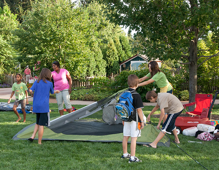 The Morton Arboretum