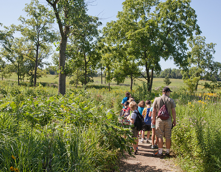 Summer Science Camp exploring the Prairie