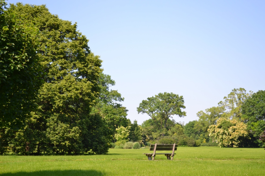 The Morton Arboretum