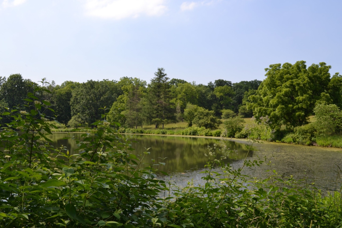 The Morton Arboretum