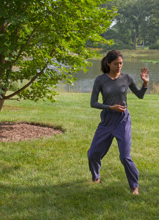 Tai Chi near Meadow Lake in the Summer