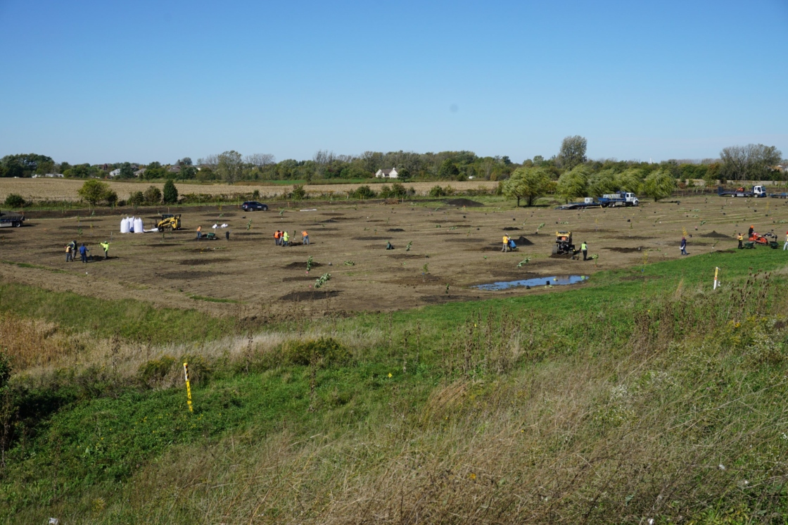 Contractors installing the dispersed planting experiment