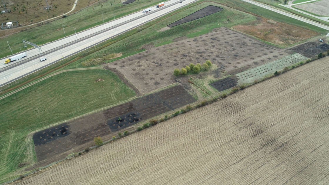 An overview of the experimental soil amendment planting beds and planting holes after planting in 2018.