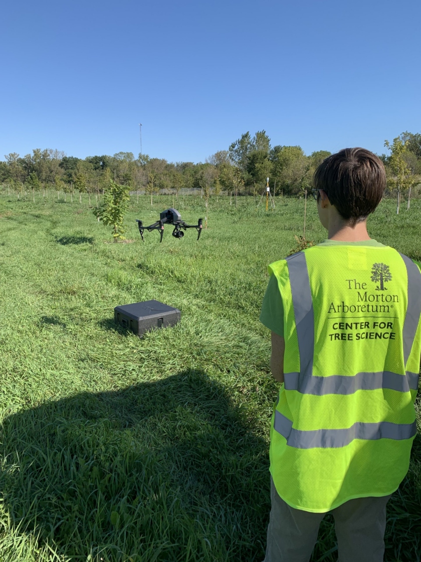 Researcher flying a drone over the stock size experimental site