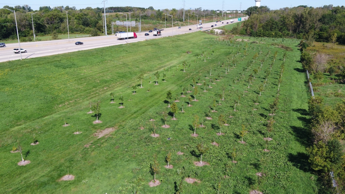 An overview of the experimental stock size planting experiment in 2019