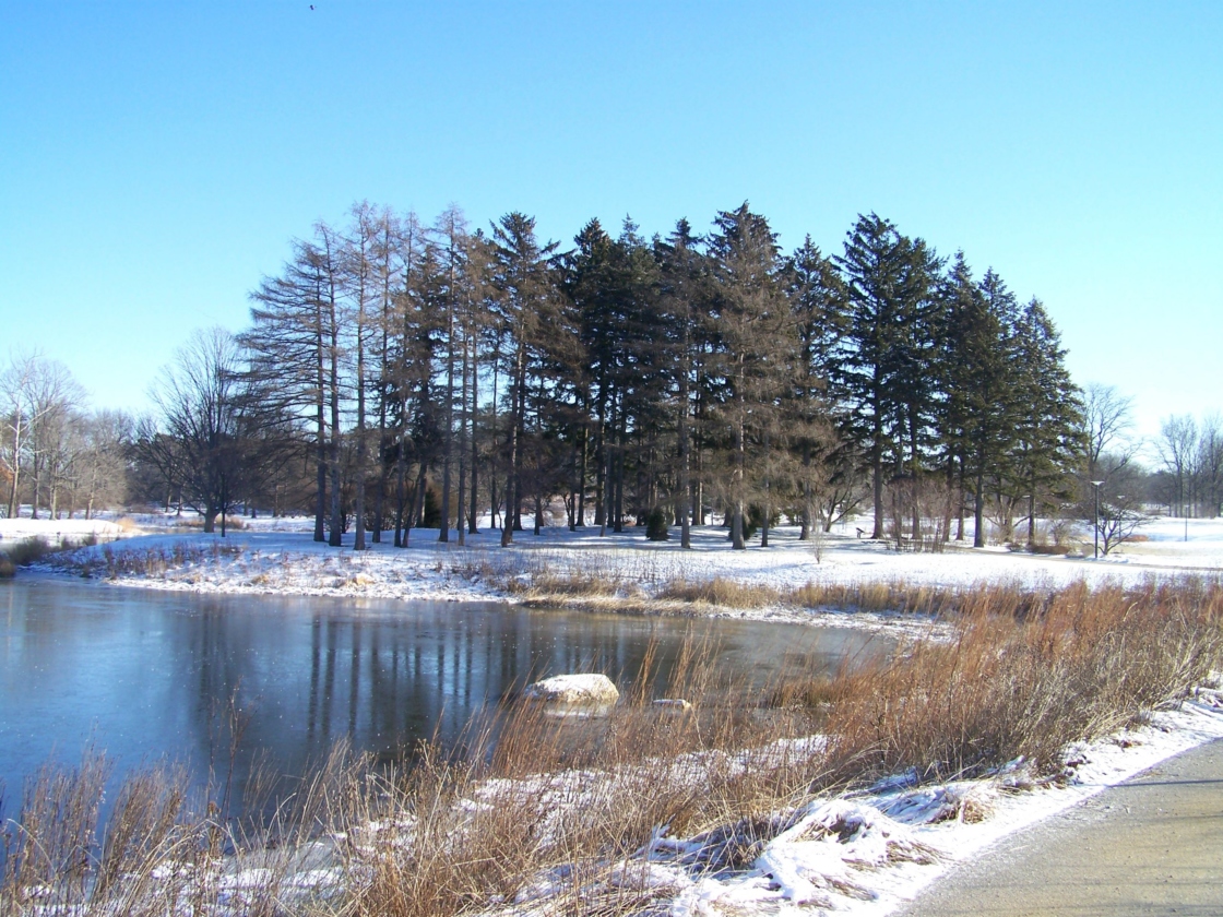 News Center - Photos Page | The Morton Arboretum