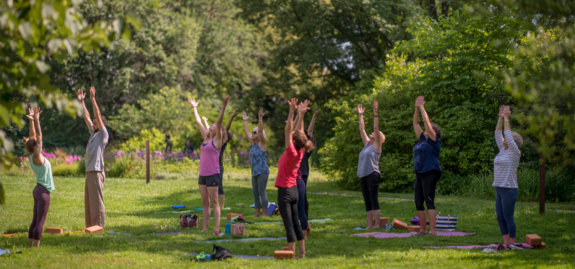 Group does yoga outside on the lawn