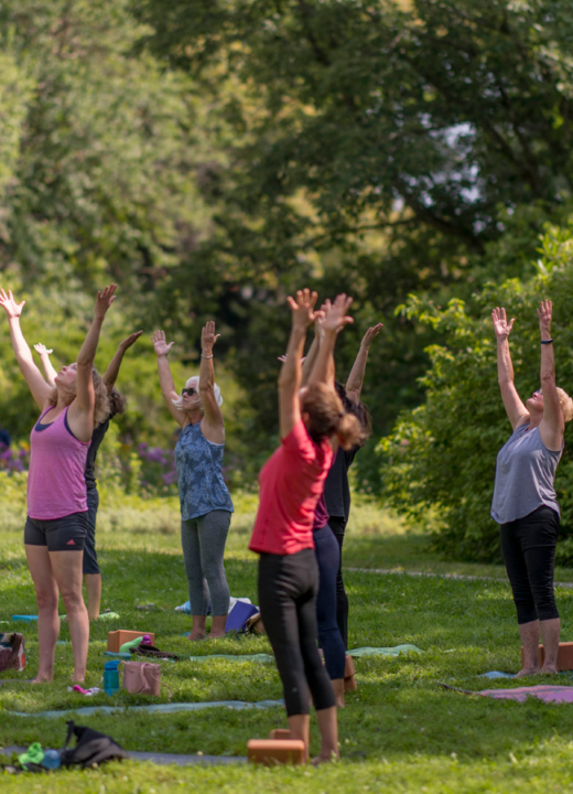 Group does yoga outside on the lawn