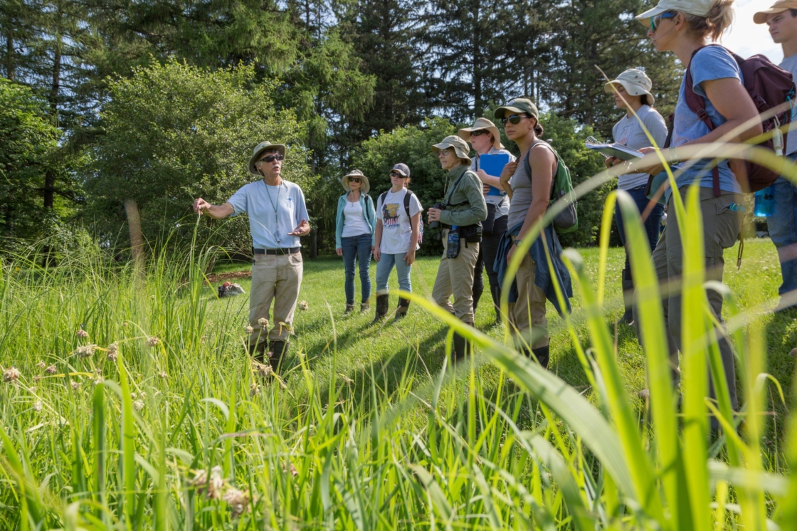 Group of professionals outside with teacher
