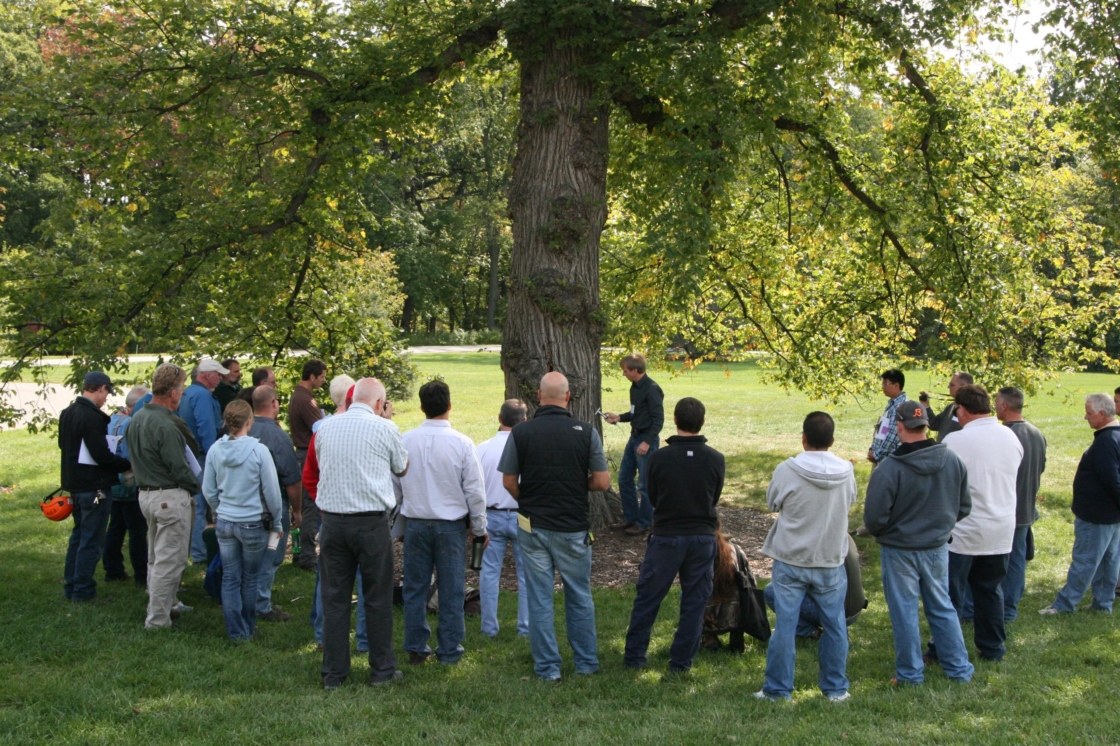 A group of people watch a person do a demonstration on a tree