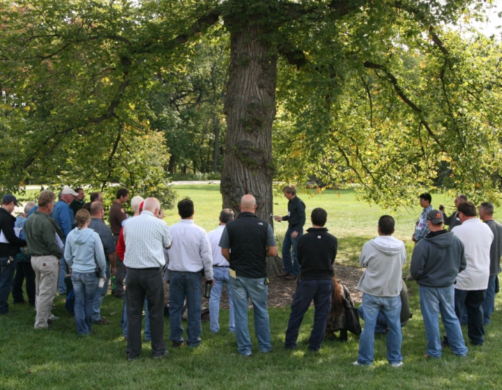 A group of people watch a person do a demonstration on a tree