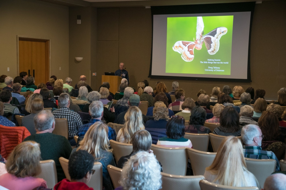 Presenter talks to a room of professionals