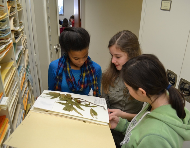 Students inspect sample in herbarium