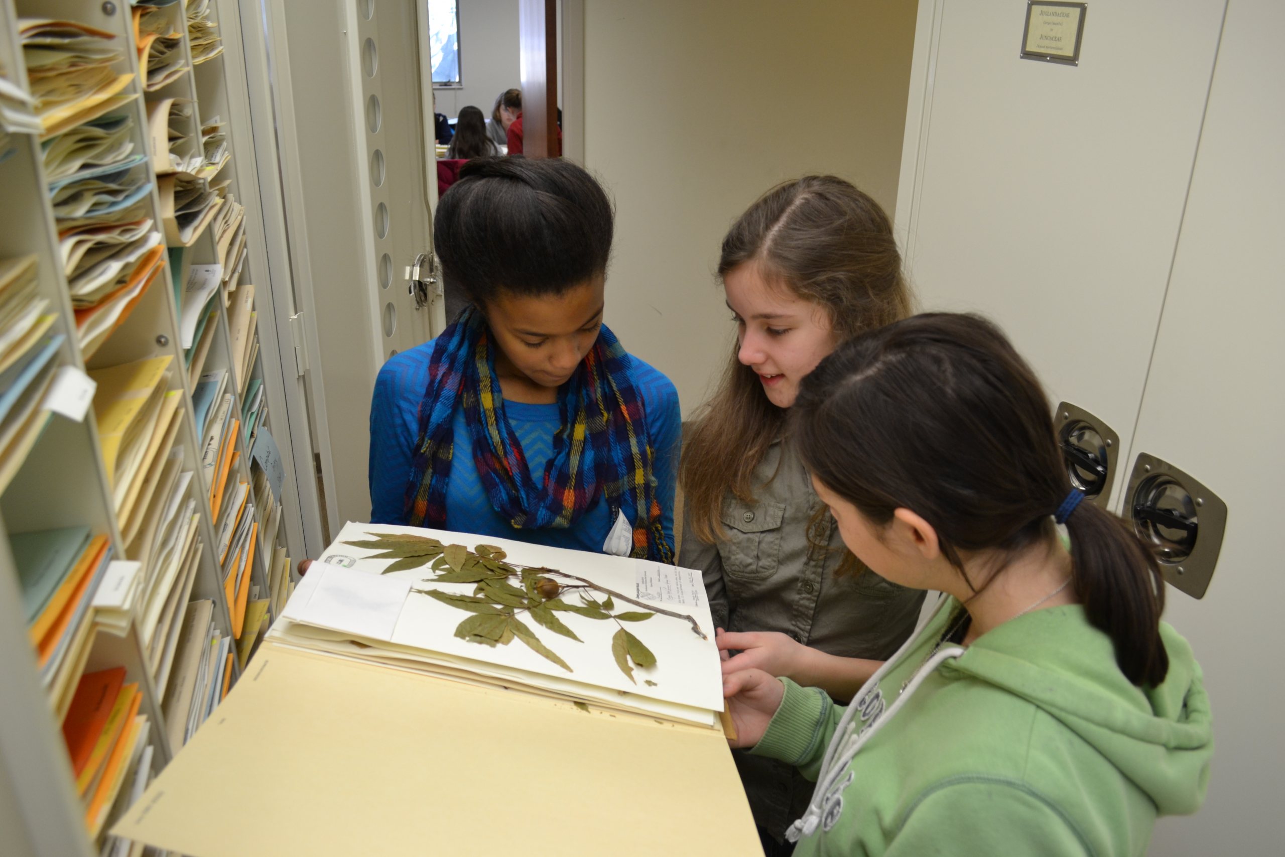 Students inspect sample in herbarium