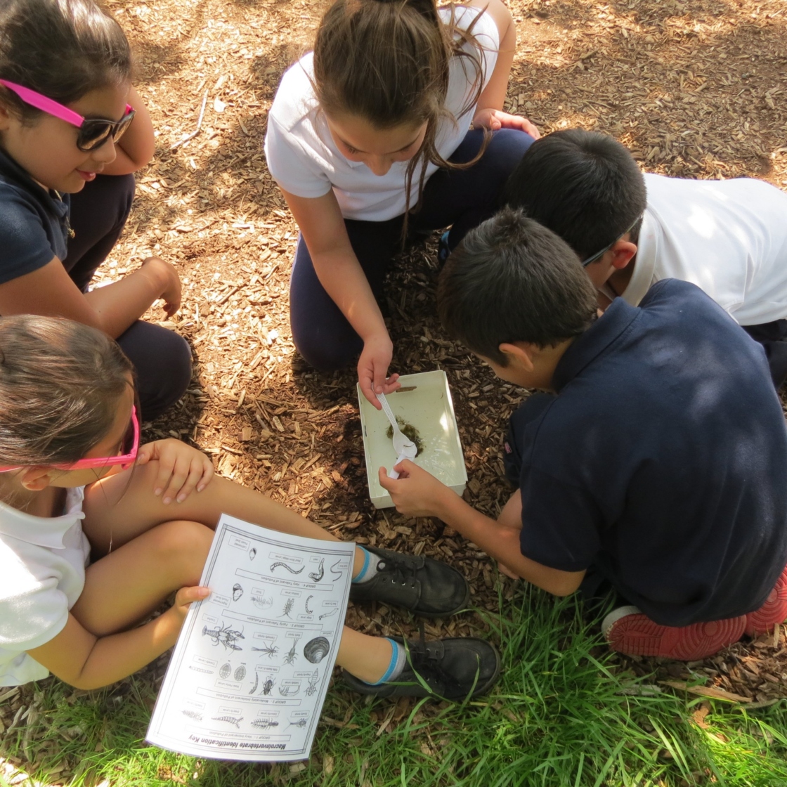 Students sitting on ground observing specimen in a sample of water