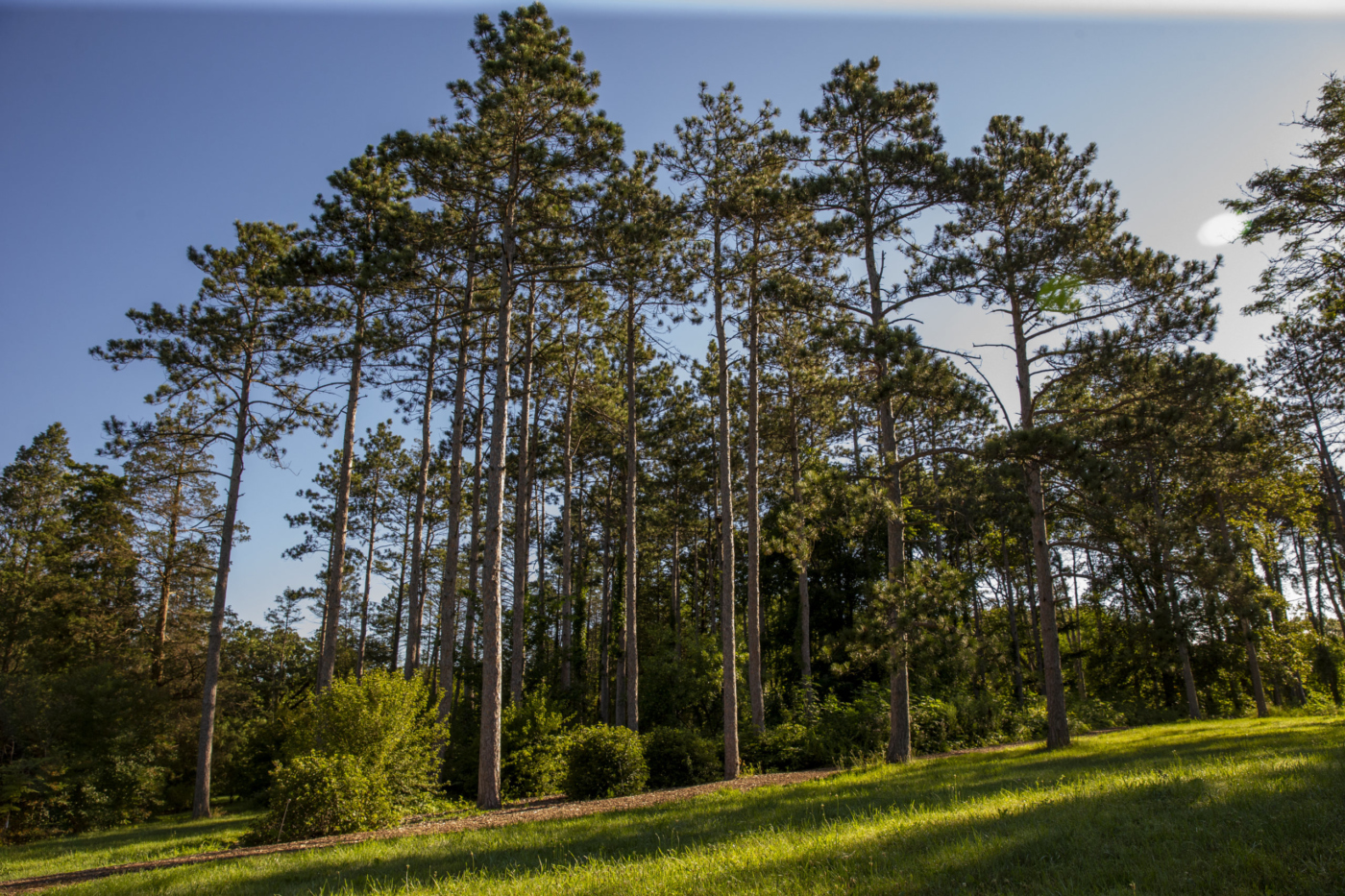 Employment | The Morton Arboretum