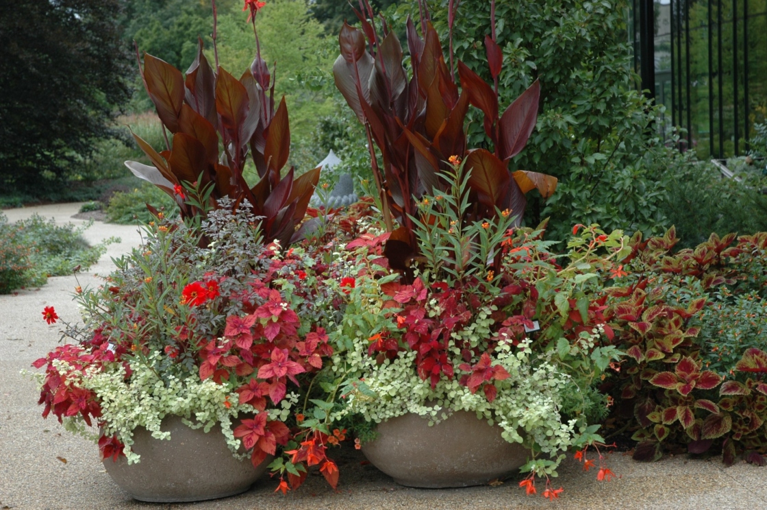 Container and Display Gardens | The Morton Arboretum