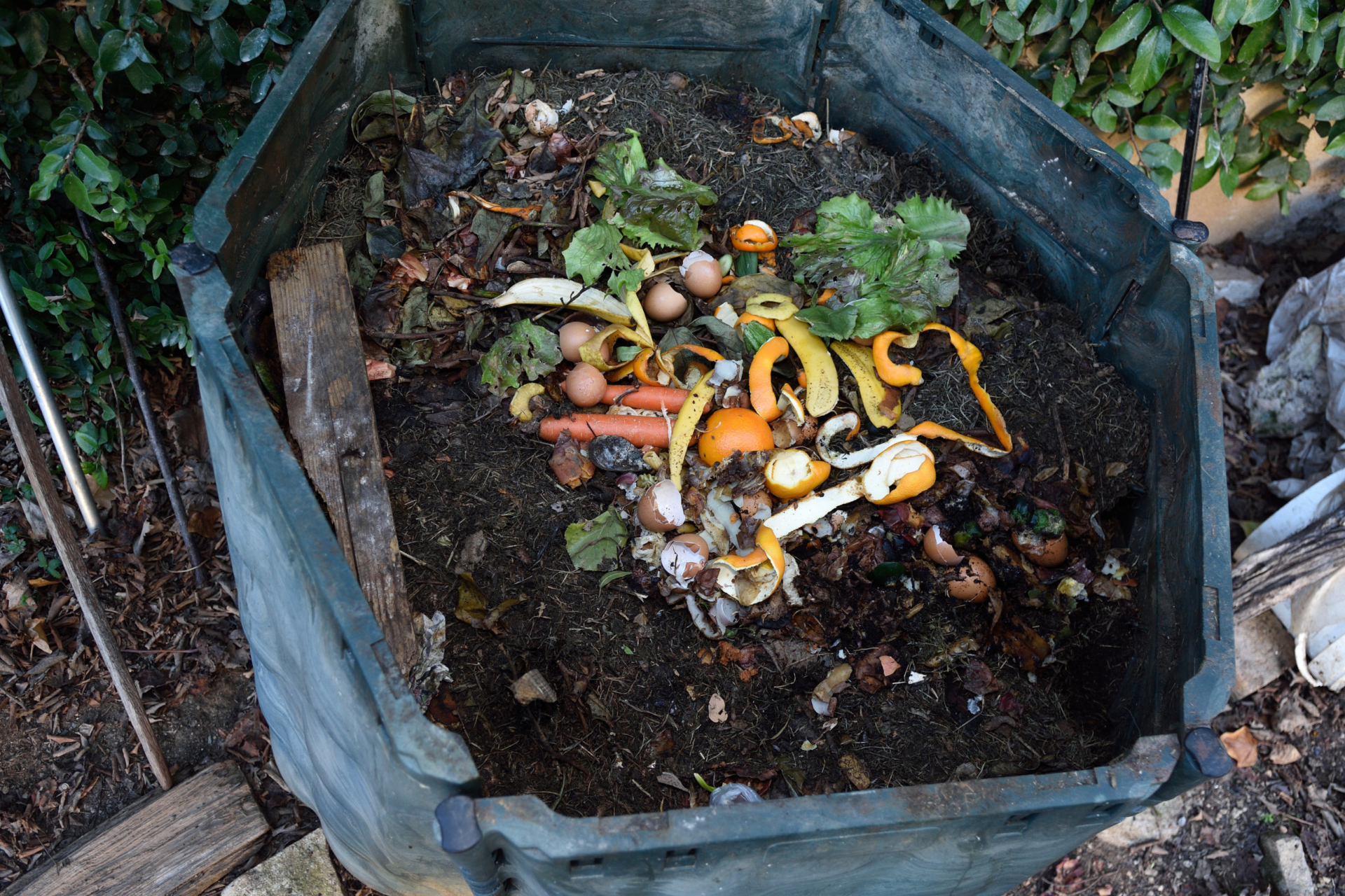 Composting pile with scraps of food