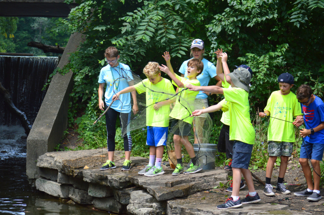 The Morton Arboretum