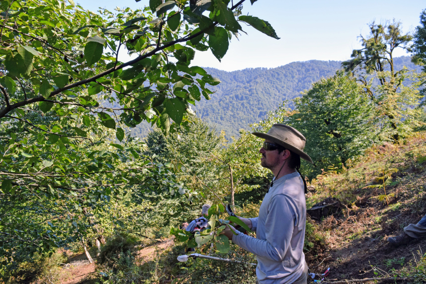 The Morton Arboretum