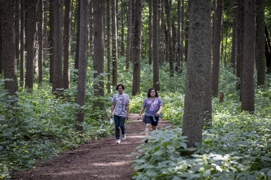 Couple hikes the spruce plot in summer