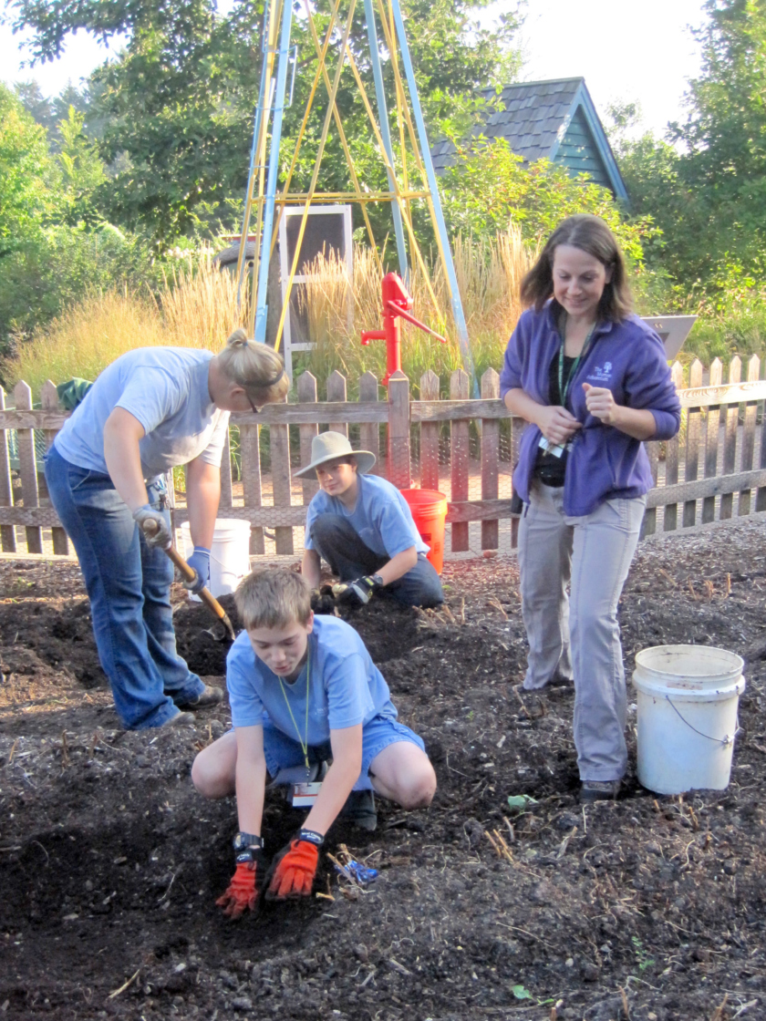 Youth volunteers harvesting in their garden in the Children's Garden.