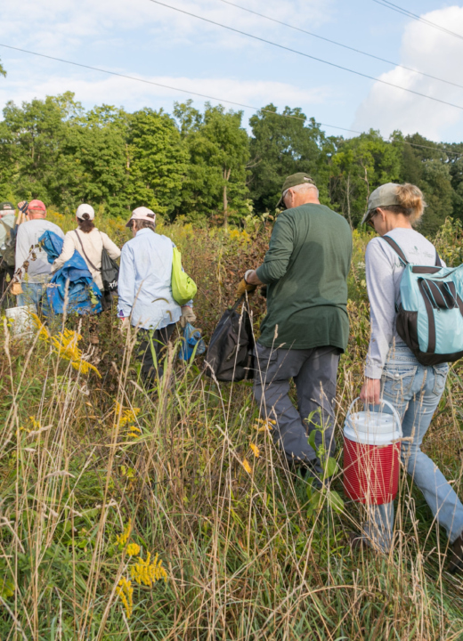 Master Naturalist Intensive Training
